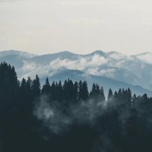 Meet your Posher, Avery